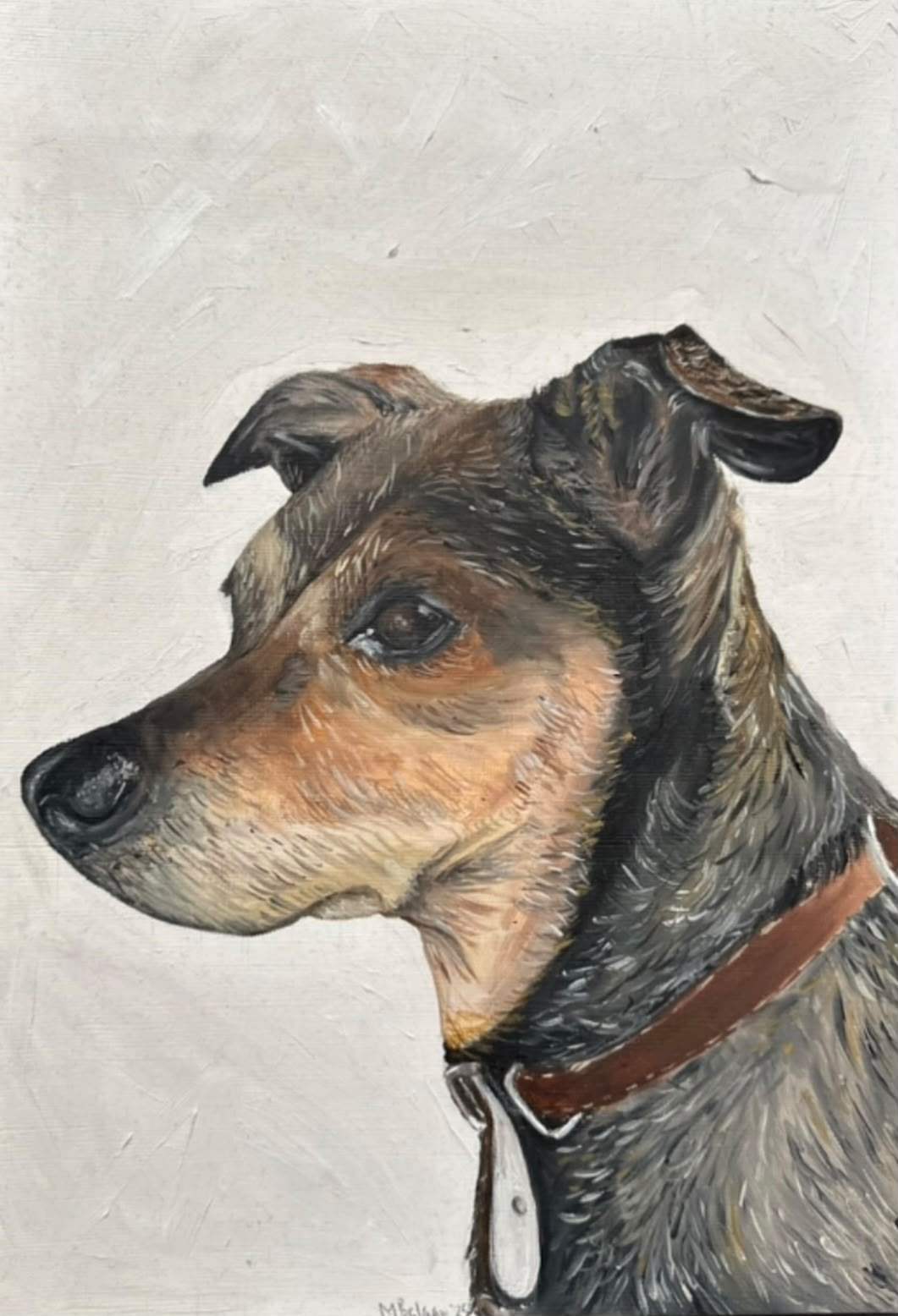 Portrait of a black and tan terrier in side profile, wearing a brown leather collar with a silver tag.