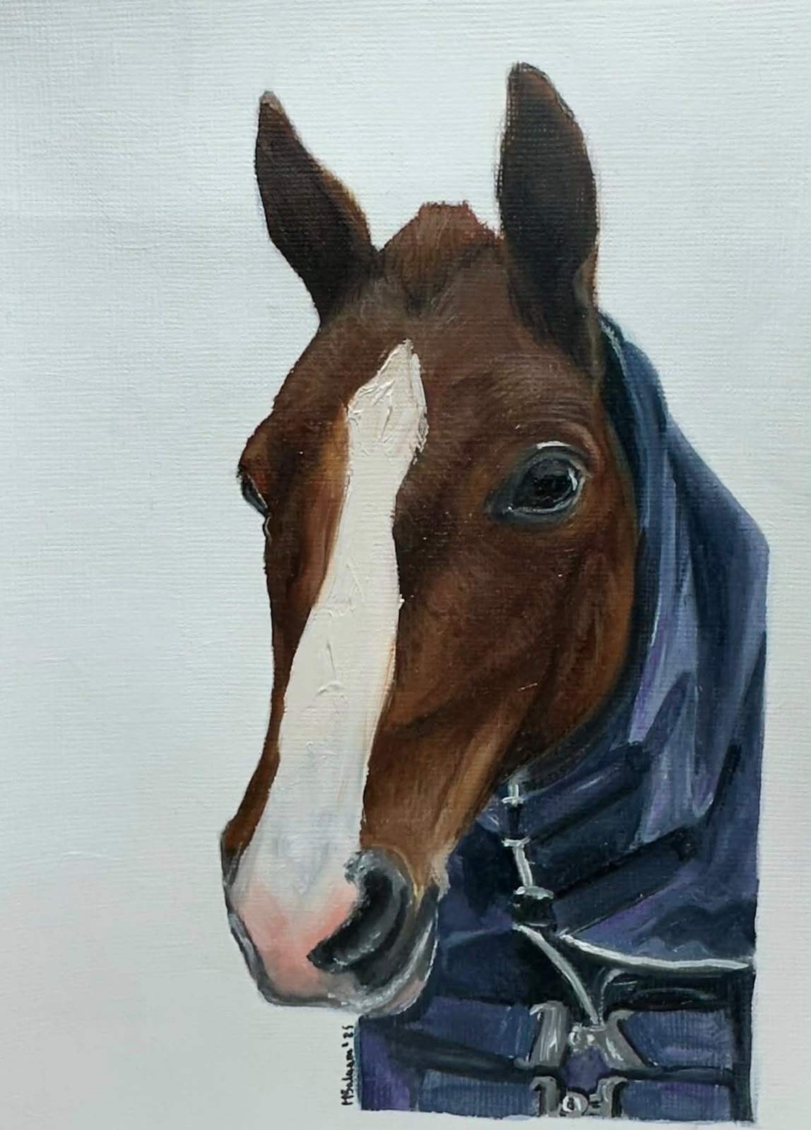 Portrait of a chestnut horse with a white blaze, wearing a navy rug, against a pale background.