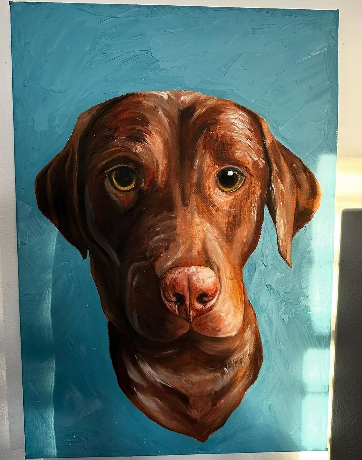 Portrait of a chocolate Labrador's head with amber eyes, looking straight out against a textured teal background.
