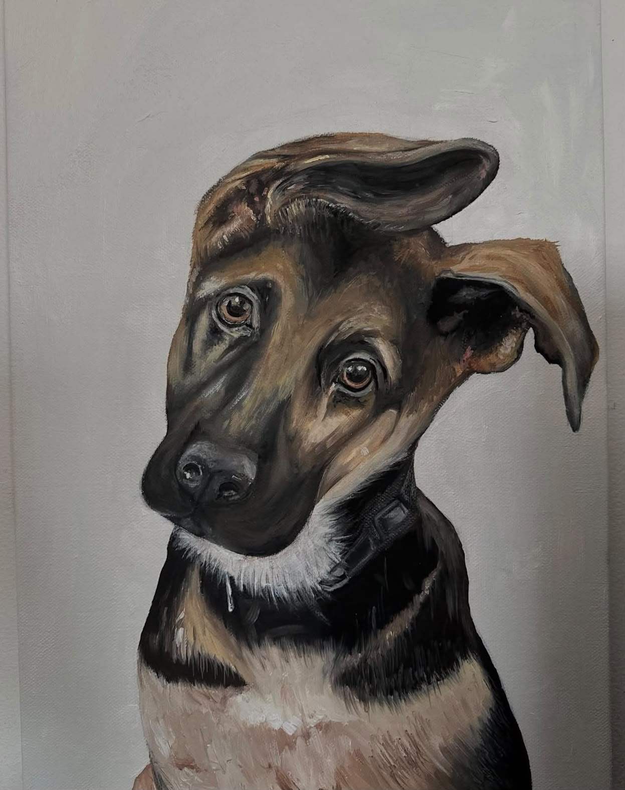 Portrait of a German Shepherd puppy tilting its head, one ear flopping, against a pale grey background.